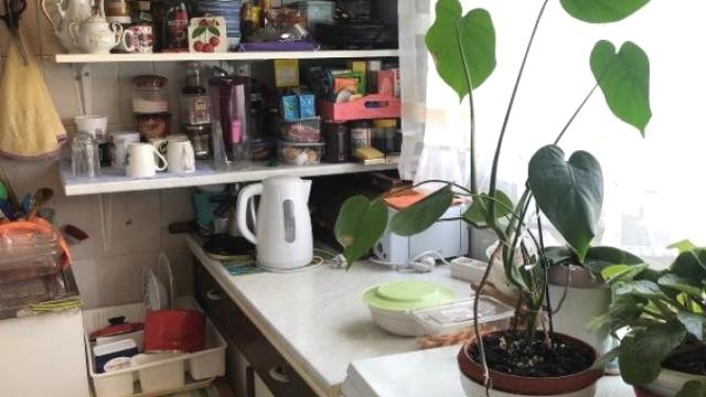 Stan, Dvoiposoban, Prodaja, 50m2, Učiteljsko naselje, Zvezdara, Jelene Mioč