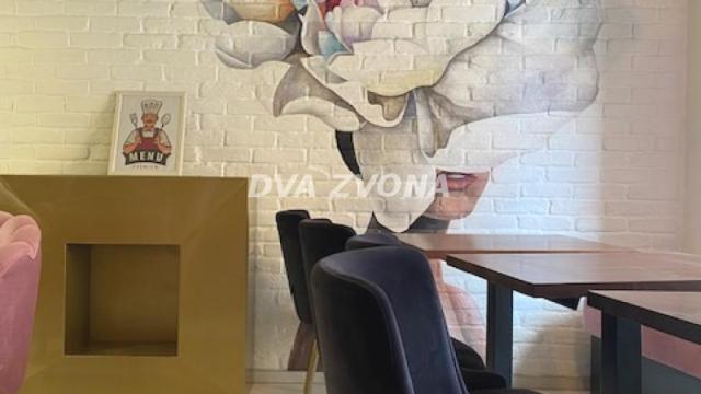 Poslovni prostor, Petosoban, Prodaja, 66m2, Širi centar, Gradska lokacija, Sremski Karlovci