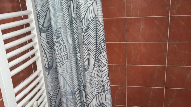 Stan, Jednosoban, Prodaja, 30m2, Zemun, Joze Scurle