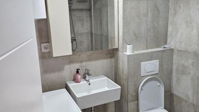 Stan, Dvoiposoban, Izdavanje, 52m2, Dušanovac, Voždovac, Milorada Bondžulića