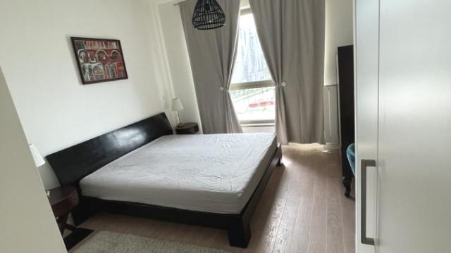 Stan, Jednoiposoban, Izdavanje, 55m2, Beograd na vodi, Savski venac, Hercegovačka