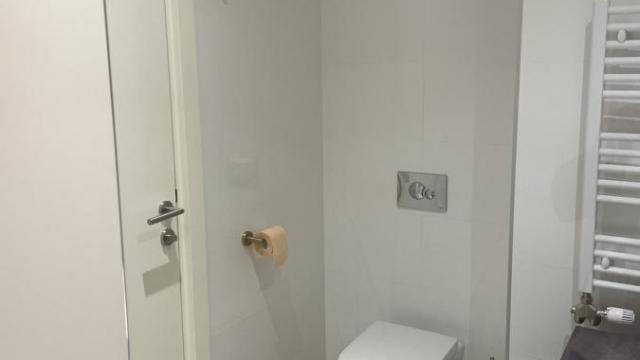 Stan, Jednoiposoban, Izdavanje, 55m2, Beograd na vodi, Savski venac, Hercegovačka