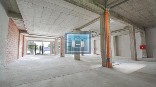 Poslovni prostor, Izdavanje, 315m2, Naselje Stepa Stepanović, Voždovac, Beograd