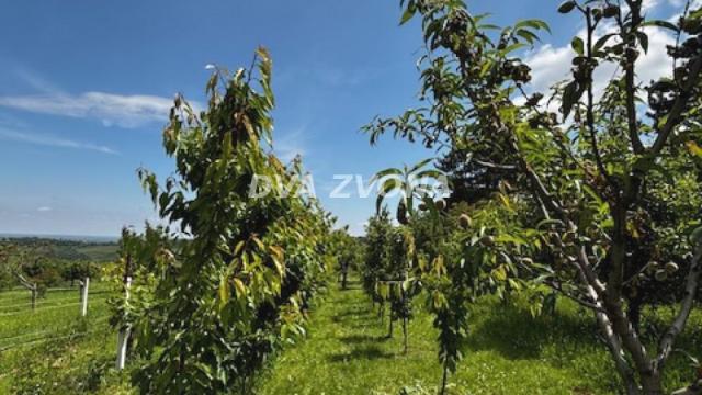 Kuća, Dvosoban, Prodaja, 56m2, Fruška Gora, Okolno mesto, Sremski Karlovci
