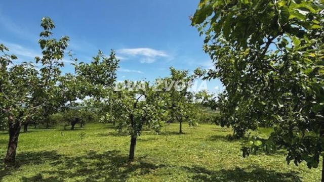 Kuća, Dvosoban, Prodaja, 56m2, Fruška Gora, Okolno mesto, Sremski Karlovci