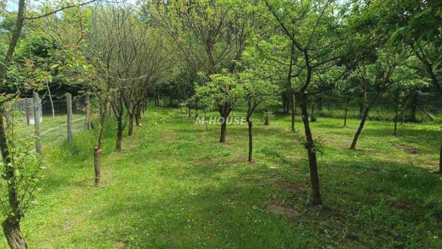 Kuća, Trosoban, Prodaja, 68m2, Kupusina, Okolno mesto, Apatin
