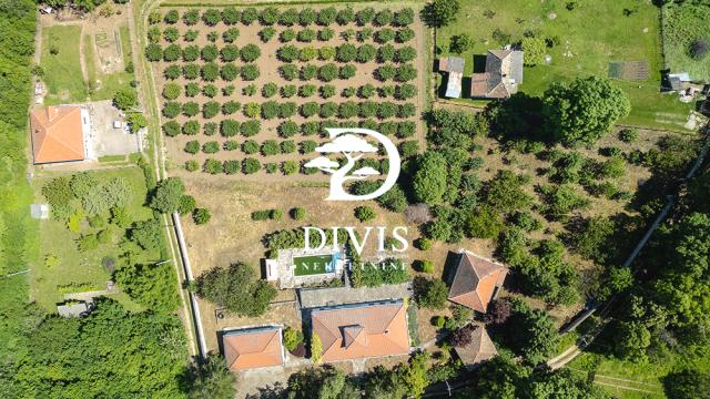 Kuća, četvorosoban, Prodaja, 200m2, Grobljanska