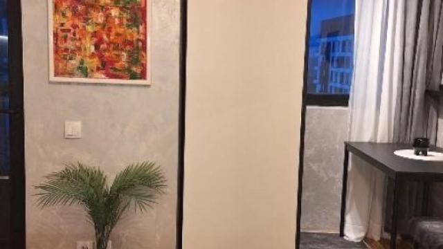 Stan, Garsonjera, Izdavanje, 25m2, Karaburma, Palilula, Homoljska