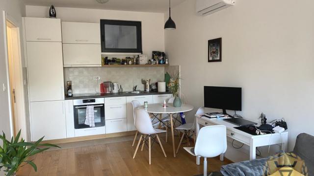 Stan, Jednoiposoban, Izdavanje, 45m2, Gundulićev venac, Stari grad, Carigradska