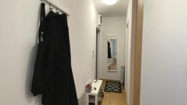 Stan, Jednoiposoban, Izdavanje, 45m2, Gundulićev venac, Stari grad, Carigradska