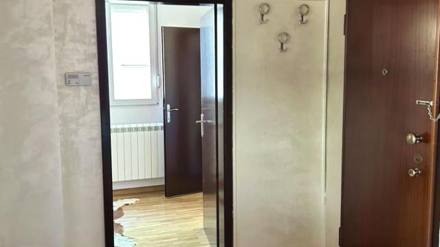 Stan, Dvosoban, Izdavanje, 55m2, Južni bulevar, Vračar, Južni bulevar