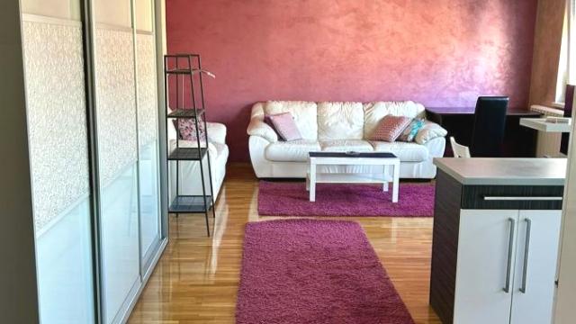 Stan, Dvosoban, Izdavanje, 55m2, Južni bulevar, Vračar, Južni bulevar