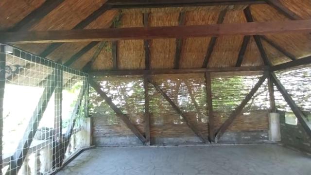 Stan, Izdavanje, 280m2, Neimar, Vračar, Đorđa Vajferta
