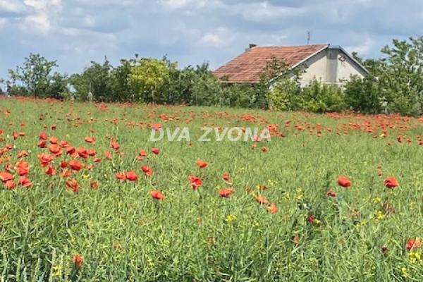 prodaja, kuca,
cenej-novi-sad-novi-sad, 886715, petosoban