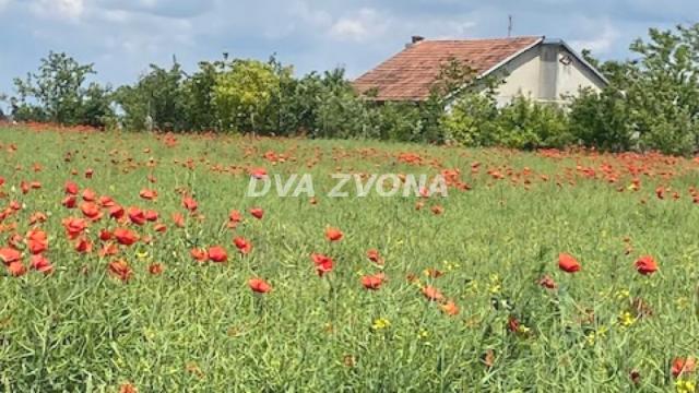 Kuća, Petosoban, Prodaja, 37m2, Čenej, Novi Sad, Novi Sad