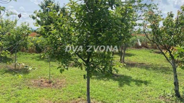 Kuća, Petosoban, Prodaja, 37m2, Čenej, Novi Sad, Novi Sad