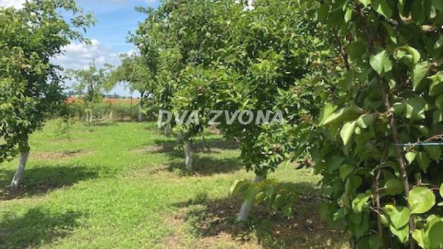 Kuća, Petosoban, Prodaja, 37m2, Čenej, Novi Sad, Novi Sad