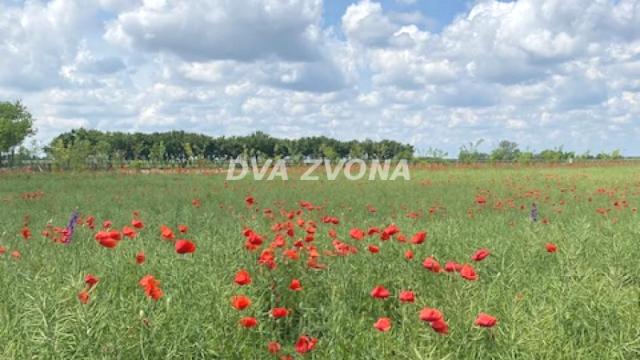 Kuća, Petosoban, Prodaja, 37m2, Čenej, Novi Sad, Novi Sad