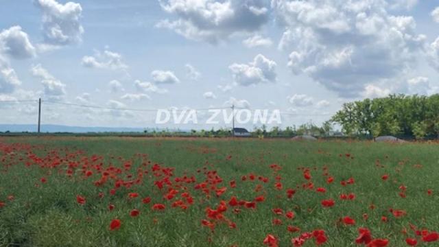 Kuća, Petosoban, Prodaja, 37m2, Čenej, Novi Sad, Novi Sad