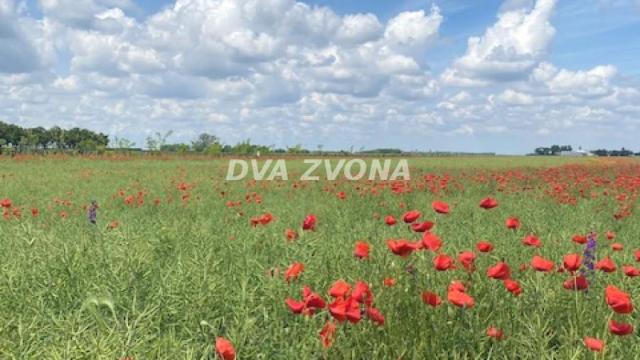 Kuća, Petosoban, Prodaja, 37m2, Čenej, Novi Sad, Novi Sad