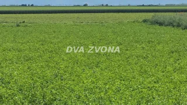 Kuća, Petosoban, Prodaja, 37m2, Čenej, Novi Sad, Novi Sad
