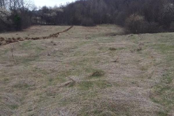 prodaja, plac,
kostunici-opstina-gornji-milanovac, 888815, kostunici