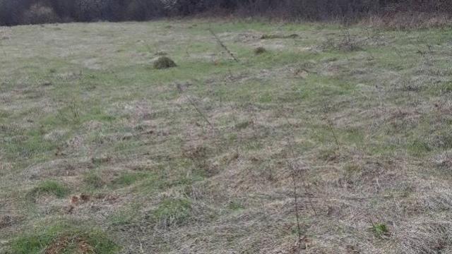 Plac, Prodaja, m2, Koštunići, Okolno mesto, Kostunici