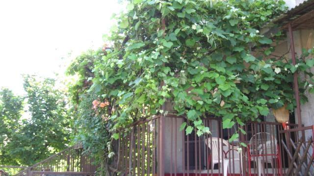 Kuća, Prodaja, 150m2, Čvorak, Gradska lokacija, Sombor