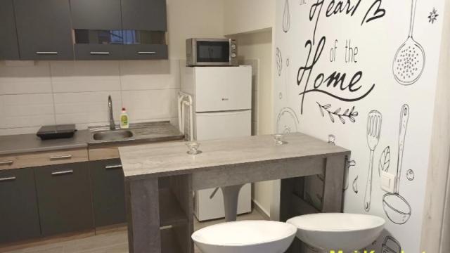 Stan, Jednosoban, Izdavanje, 35m2, Botanička bašta, Palilula, Ruvarčeva