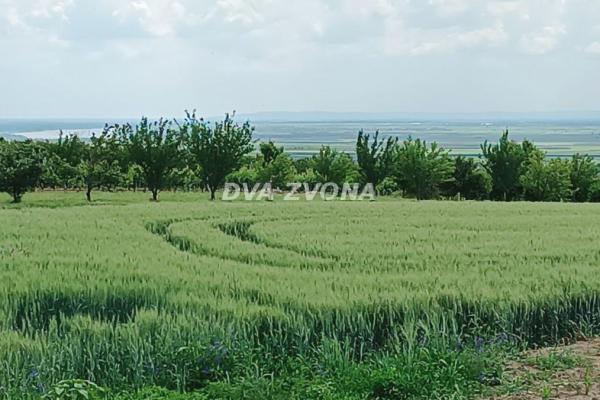 prodaja, plac,
stari-slankamen-opstina-indjija, 890966, plac