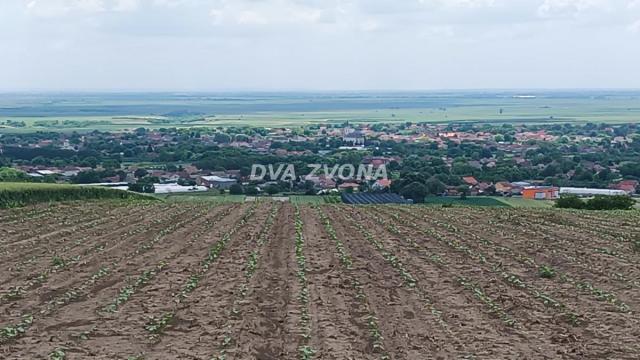 Plac, Prodaja, m2, Stari Slankamen, Okolno mesto, Indjija