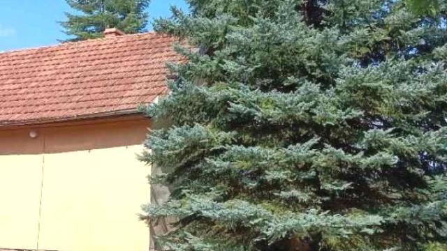 Kuća, Trosoban, Prodaja, 78m2, Popovica, Petrovaradin, Mirna