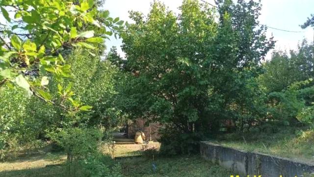Kuća, Trosoban, Prodaja, 78m2, Popovica, Petrovaradin, Mirna