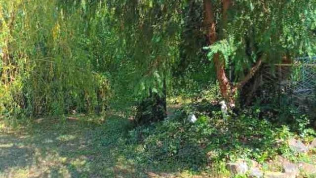 Kuća, Trosoban, Prodaja, 78m2, Popovica, Petrovaradin, Mirna