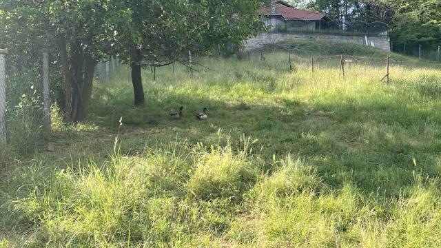 Kuća, Trosoban, Prodaja, 126m2, Stara Bežanija