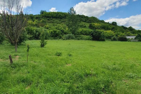 prodaja, kuca,
banja-vrdnik-opstina-irig, 893193, kuca