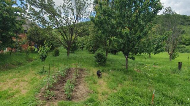 Kuća, Prodaja, 180m2, Banja Vrdnik, Okolno mesto, Irig