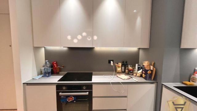 Stan, Dvosoban, Izdavanje, 50m2, Beograd na vodi, Savski venac, Bulevar Vudroa Vilsona