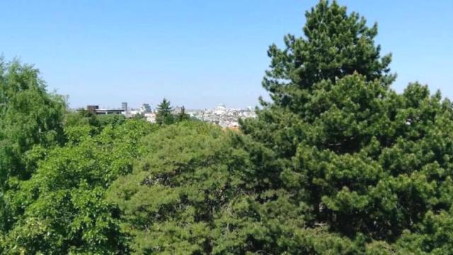 Stan, Dvosoban, Izdavanje, 100m2, Dedinje, Savski venac, Heroja Milana Tepića