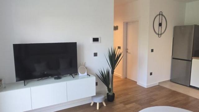 Stan, Dvosoban, Izdavanje, 40m2, Ledine, Novi Beograd, Vojvođanska