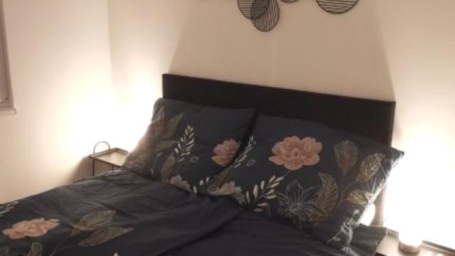 Stan, Dvosoban, Izdavanje, 40m2, Ledine, Novi Beograd, Vojvođanska