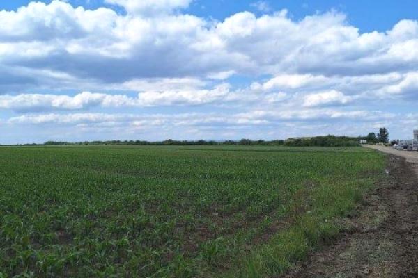 prodaja, plac,
simanovci-opstina-pecinci, 894334, potes-legdar