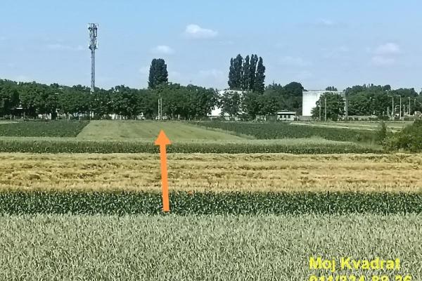 prodaja, plac,
batajnica-zemun-beograd, 894900, pustara