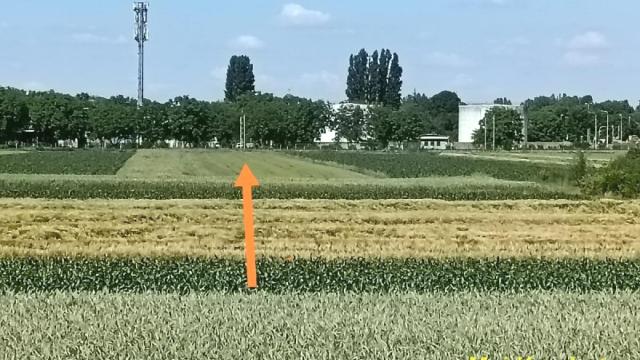 Plac, Prodaja, m2, Batajnica, Zemun, Pustara