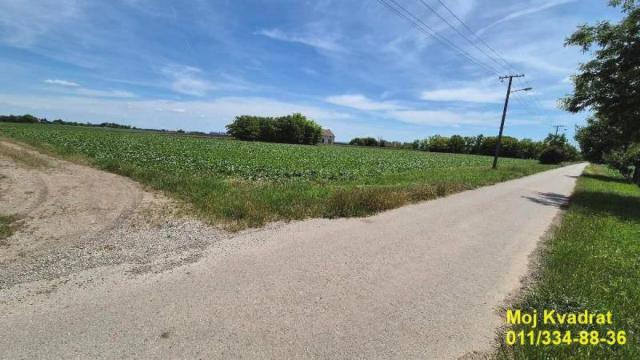 Kuća, Prodaja, 491m2, Čenej, Novi Sad, Koste Nađa