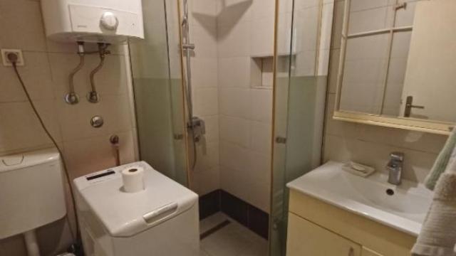 Stan, Jednosoban, Izdavanje, 47m2, Lion, Zvezdara, Radoja Domanovića
