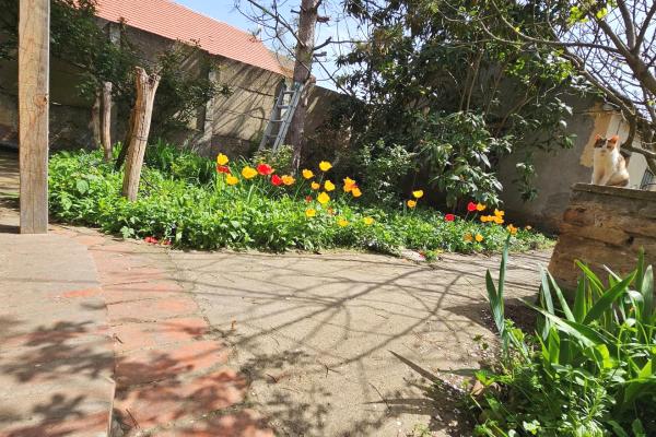 prodaja, kuca,
stara-pazova, 895750, dvosoban-cincorija