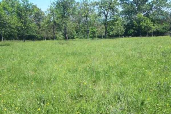 prodaja, kuca,
bacevac-barajevo-beograd, 896019, dvosoban