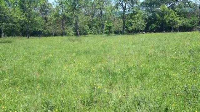 Kuća, Dvosoban, Prodaja, 75m2, Baćevac, Barajevo, Beograd