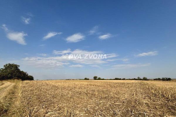 prodaja, plac,
cortanovci-opstina-indjija, 896010, plac